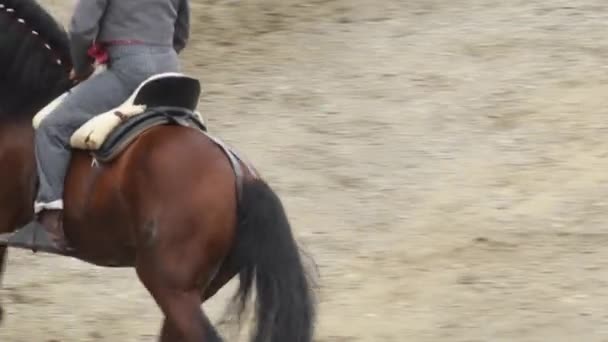 Ισπανικό Άλογο Και Αναβάτης Εκτελεί Μια Έκθεση Ιππασίας — Αρχείο Βίντεο