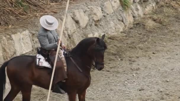 Penunggang Dengan Tongkat Dan Kuda Dalam Pameran Berkuda — Stok Video