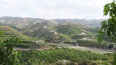 İspanya 'nın güneyindeki tarım çiftlikleri, Axarquia