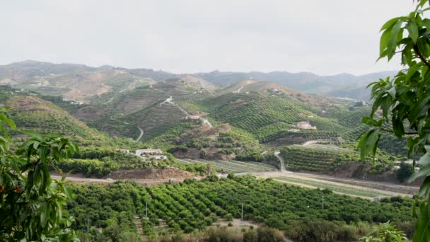 Krajobraz Plantacji Rolniczej Południu Hiszpanii Axarquia — Wideo stockowe