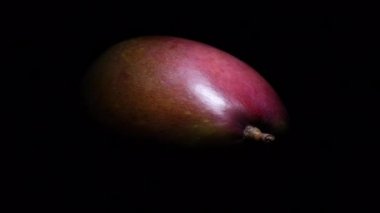 Siyah arkaplanda mango döndürme