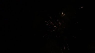 Kutlama için renkli havai fişek şatosu manzarası. Döngü