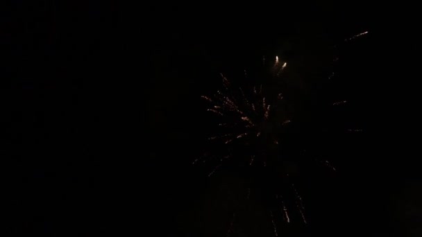 在庆祝活动中 壮观的五彩缤纷的烟火城堡 — 图库视频影像