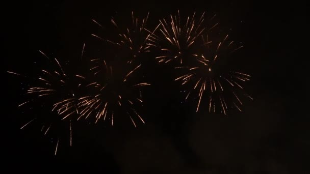 庆祝活动中华丽的烟火城堡 — 图库视频影像