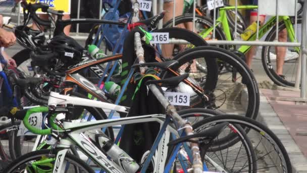 Bicicletas Triatletas Antes Iniciar Triatlo — Vídeo de Stock