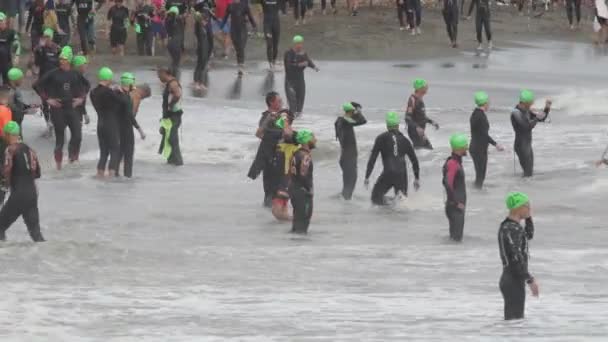 Los Nadadores Triatletas Costa Antes Comenzar Fase Natación Triatlón — Vídeo de stock