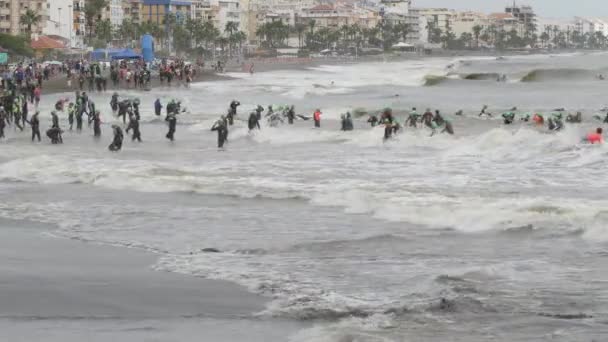 Плавці Триатлоністи Плавають Пляжі Грубими Хвилями — стокове відео