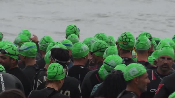 Swimmers Triathletes Waiting Start Swim Phase Triathlon — Stock Video