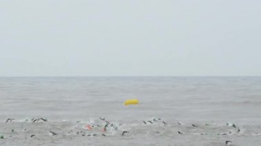 Triatlon şampiyonasında yüzme safhasında yüzen yüzücü triatletler