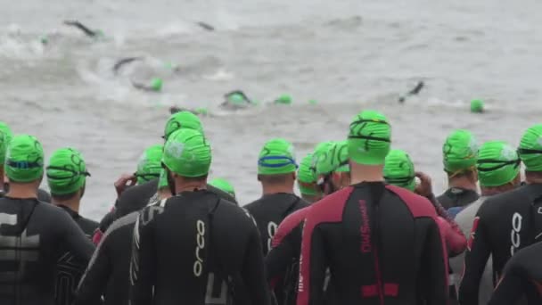 Triatlonda Yüzme Safhasında Olan Yüzücüler — Stok video