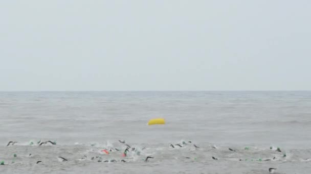 Zwemmers Triatleten Zwemmen Zwemfase Een Triatlon Kampioenschap — Stockvideo