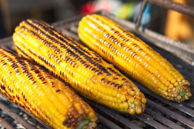 ızgara mısır yemek.
