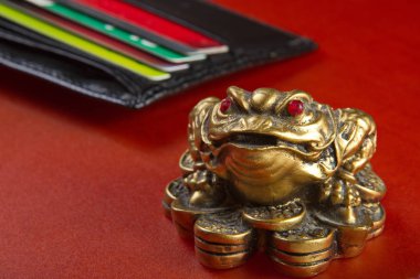 Para para kurbağa çekiyor.