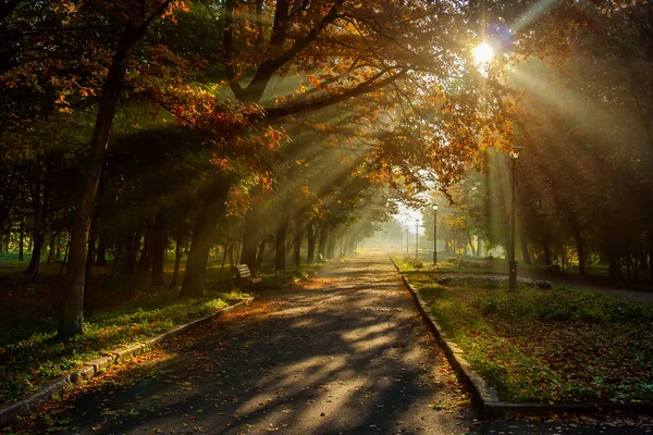 Şehir Parkı sonbaharda. Khmelnitsky şehir