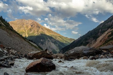 Bir canlı dağ nehir bahar. Chalaadi Buzulu. Sva
