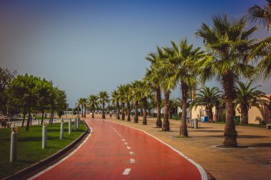 Deniz coastlin üzerinde özel bisiklet Lane'de binicilik bisiklet yolluk