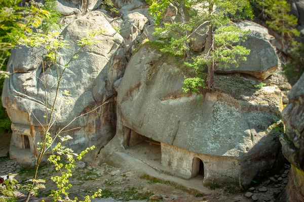 Oyulmuş Dovbush kaya, grup taş, doğal ve insan yapımı mağaralar
