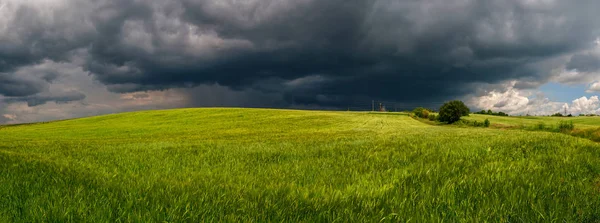 Orage estival dans un champ de blé — Photo