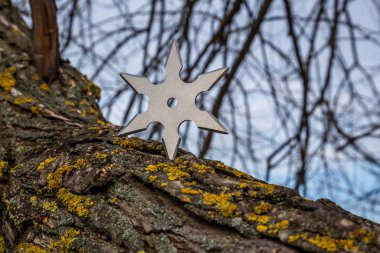 Shuriken (yıldız oluşturma), geleneksel Japon ninja soğuk silah