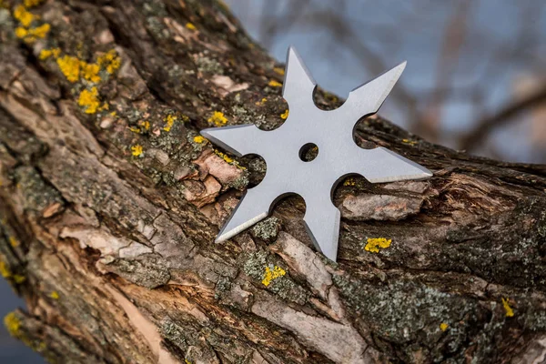 Shuriken (throwing star), traditional japanese ninja cold weapon