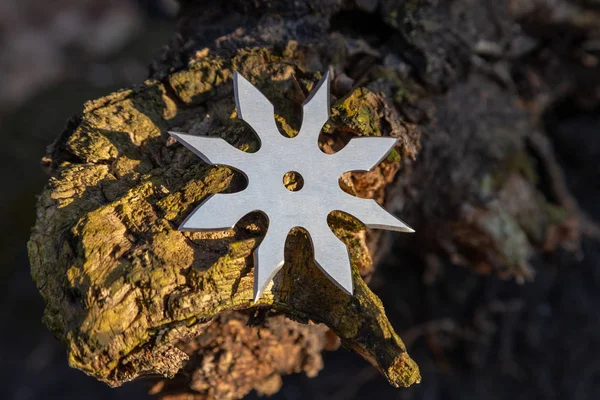 Shuriken (foute ster), traditionele Japanse ninja koude wapen — Stockfoto