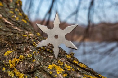 Shuriken (yıldız oluşturma), geleneksel Japon ninja soğuk silah