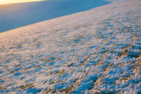 Winter field on a frosty day in February. — Stock Photo, Image
