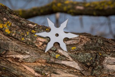 Shuriken (fırlatma yıldızı), geleneksel Japon Ninja soğuk silahı ahşap arka planda sıkışmış