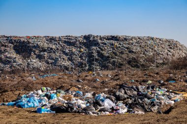Açık hava belediye çöplüğü. Çöp boşaltımı. ekolojik sorunlar.
