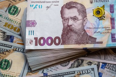 Ukrayna ve Amerika 'nın banknotları. Dünya krizi