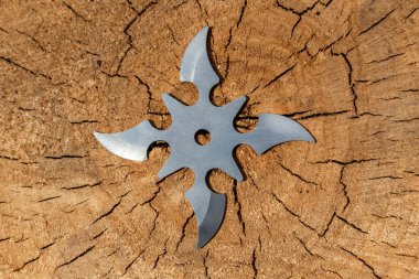 Shuriken (fırlatma yıldızı), geleneksel Japon Ninja soğuk silahı ahşap arka planda sıkışmış