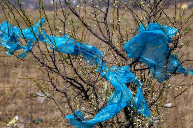 Açık havada çöp. Ağaçlarda çöp torbaları..