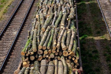 Çarpık önlü vagonları olan tren istasyonu.