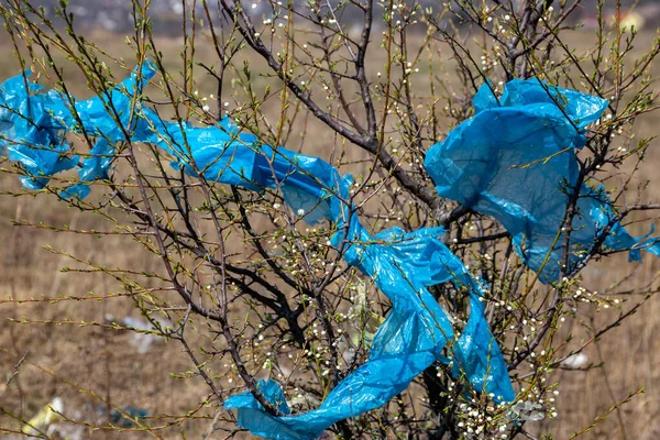 在露天的垃圾 树上的垃圾袋 — 图库照片