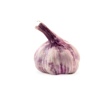 Bir baş taze sarımsak. Beyaz bir arkaplanda izole edilmiş.