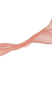 Soyut dalga. Eşarp. Beyaz arka planda parlak kurdele. Soyut duman. Raster hava desteği. Dikey görüntü yönlendirmesi. 3B illüstrasyon