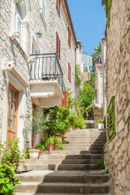 Ismarlayarak geleneksel eski duvar evlerde Hvar, Hırvatistan'olacaklarını merdiven ile.