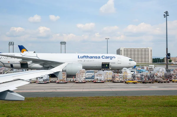 05 / 26 / 2019. Frankfurt Havaalanı, Almanya. Lufthansa kargo deposunda Boeing 777 kargo gemisi. Fraport tarafından işletiliyor ve Lufthansa 'nın ana merkezi olarak hizmet veriyor..