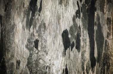 eski ahşap dokusu güzel