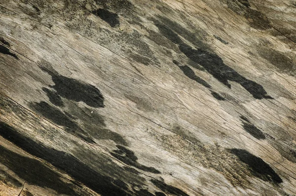 Abstract texture old wooden floor — Stock Photo, Image