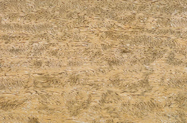 추상 텍스처 오래 된 나무 바닥 — 스톡 사진