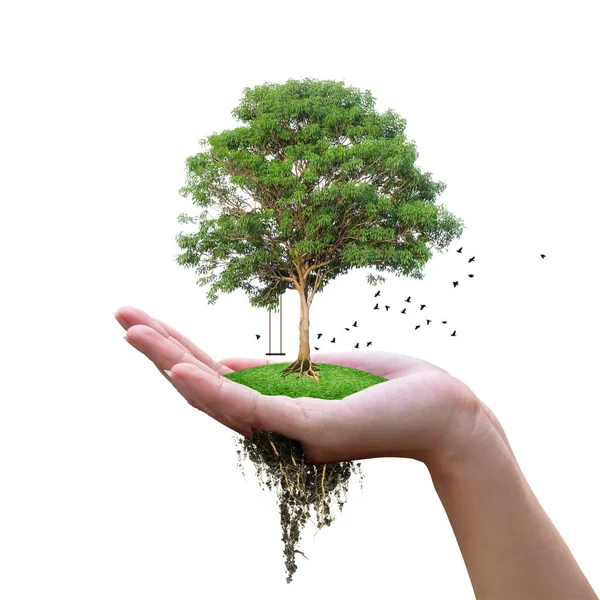 Pensare, Green concetto ecologico — Foto Stock