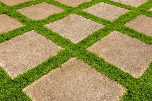 Block walk path in the park — Stock Photo, Image