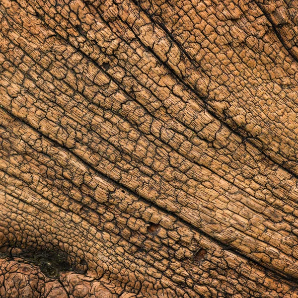 Abstract texture old wooden floor — Stock Photo, Image