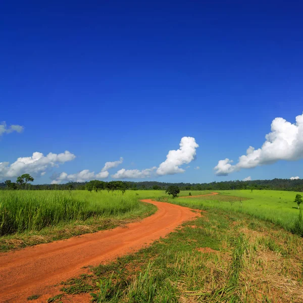 Road and Green grass field. — Stock Photo, Image