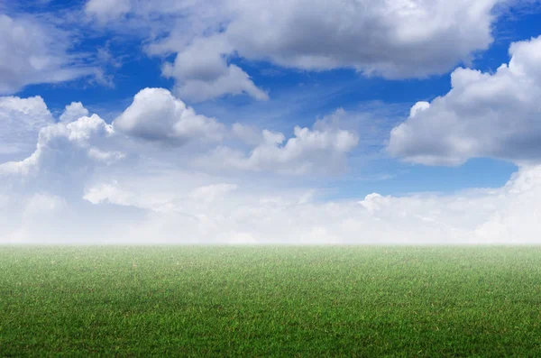 Grama verde com céu bonito — Fotografia de Stock