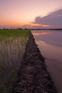 Kaldırım yalındır.