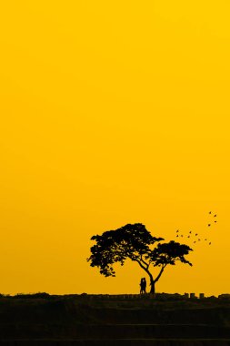 Bir ağacın altında çift siluet