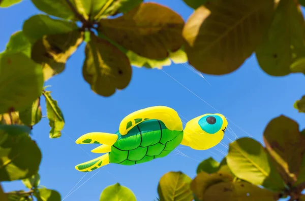 Turtle kite flying — Stock Photo, Image