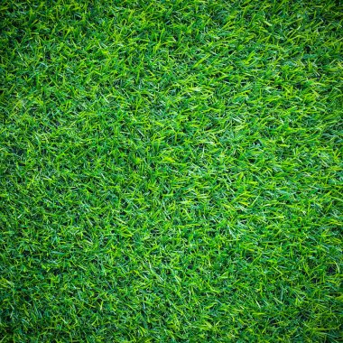 yapay yeşil çimen.